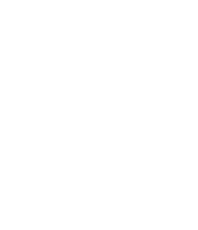 Shielding Democratic Values Through Technology